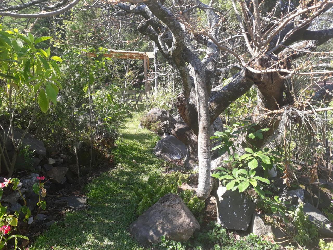 Hotel Y Bungalows Ecologicos Marcelo Santiago Atitlán 外观 照片